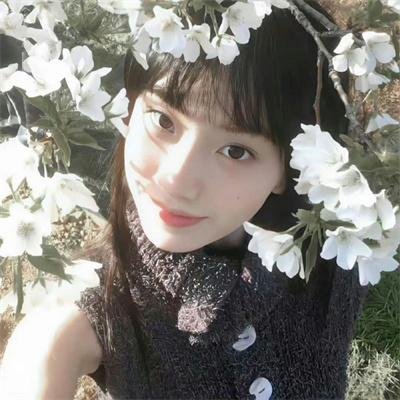 拳风恋影