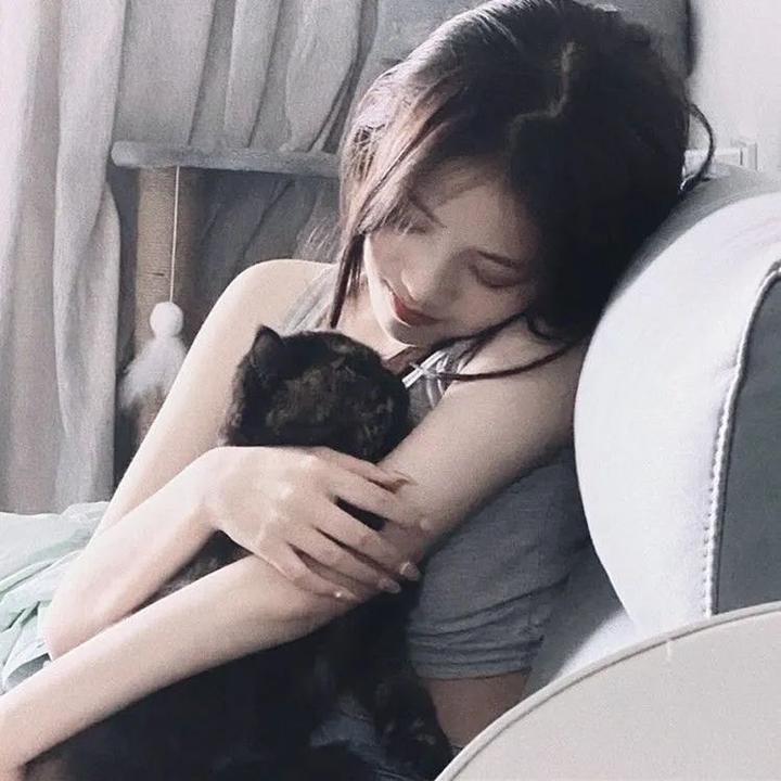 小叮当:羽翼之谜